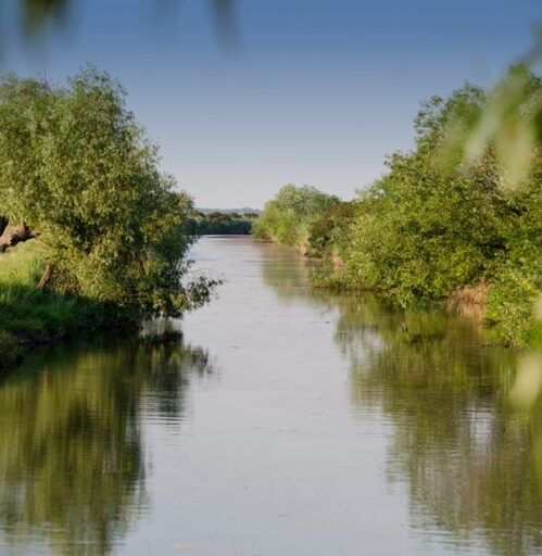 berettyo hamvak szórása