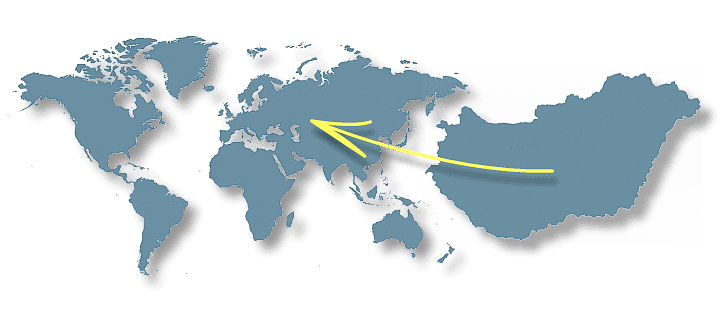 halottszállítás külföldre